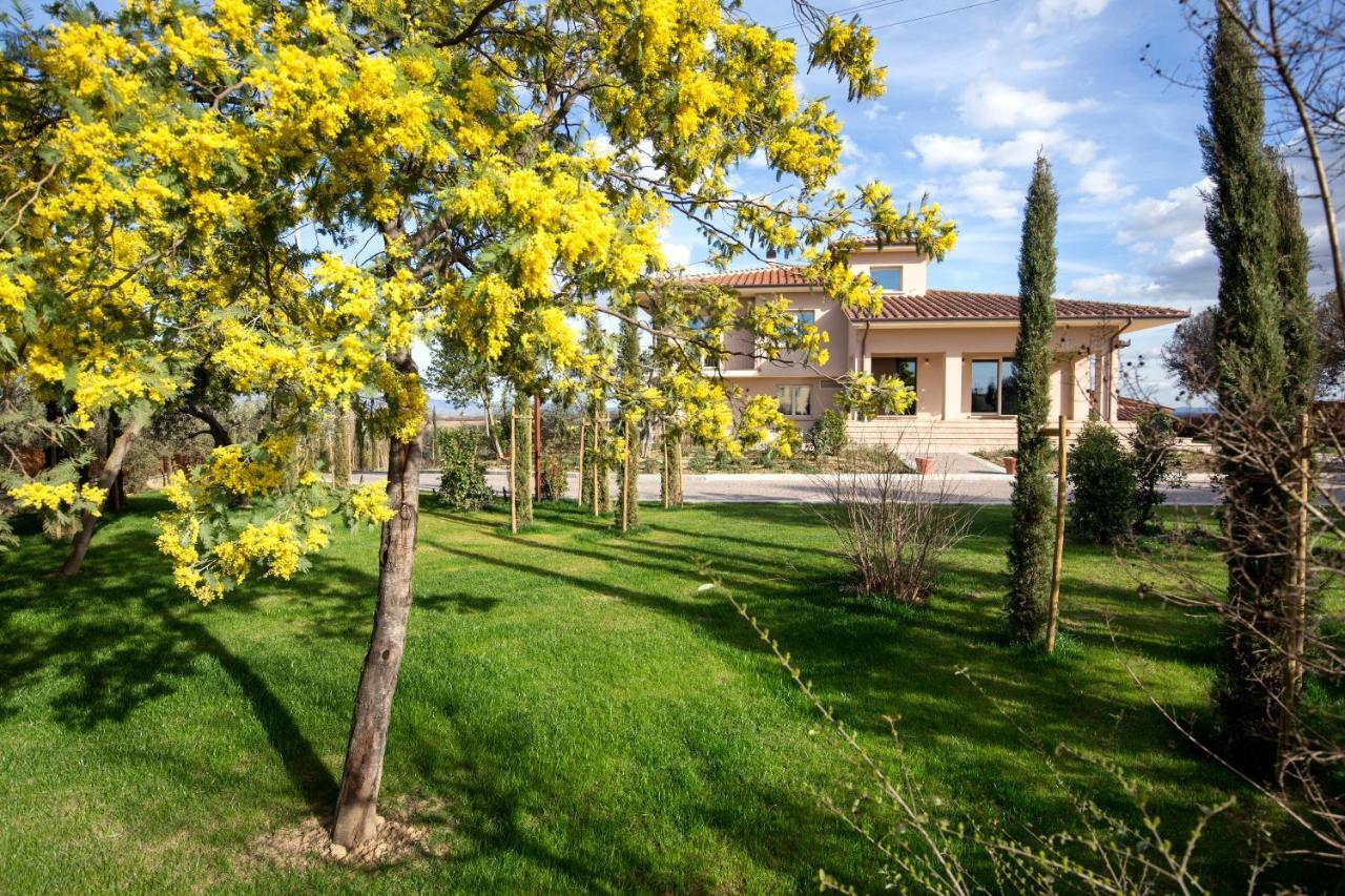 Villa Spaccasole Su Cortona Foiano Della Chiana Exterior photo